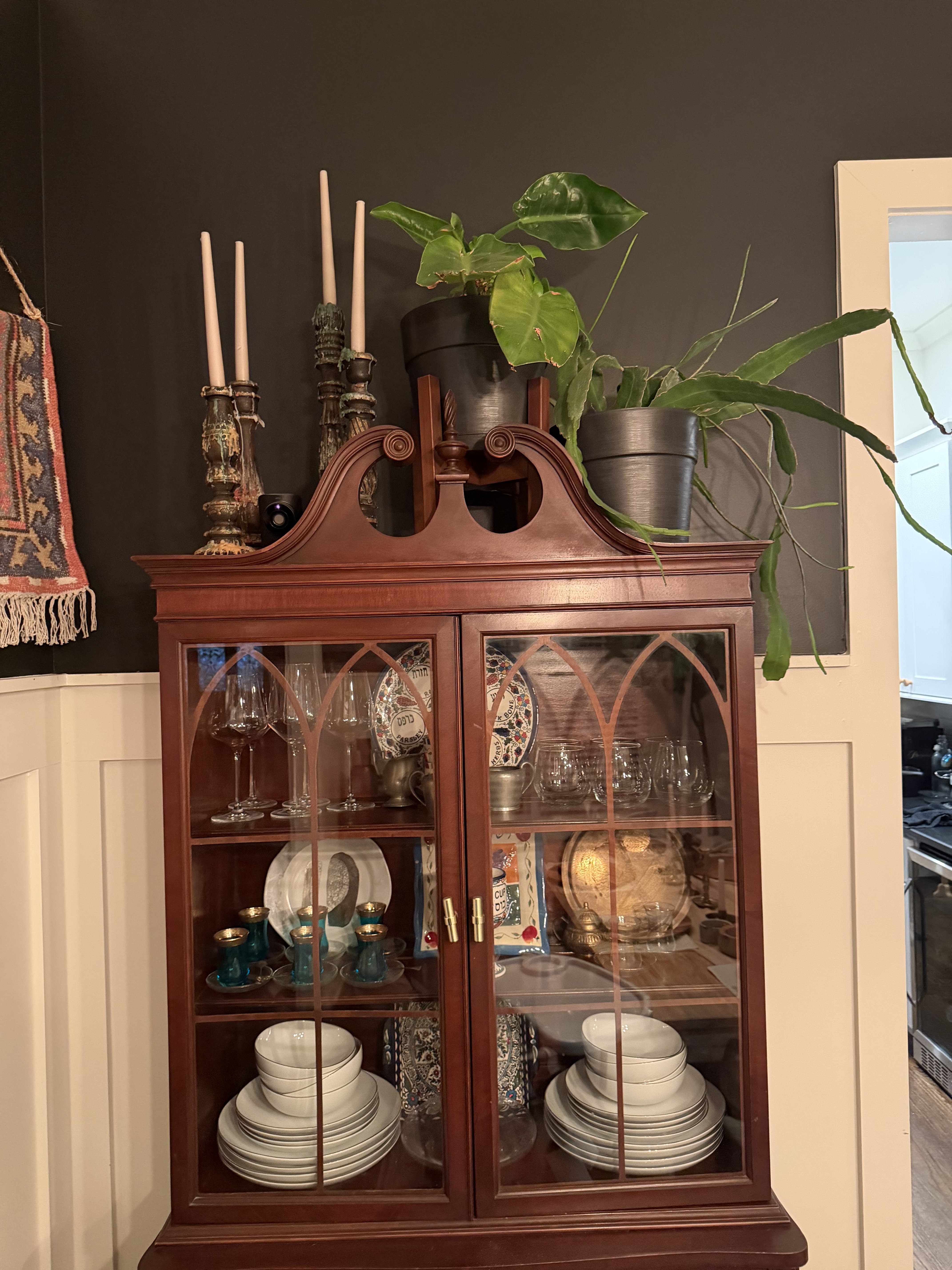 Houseplants in pots