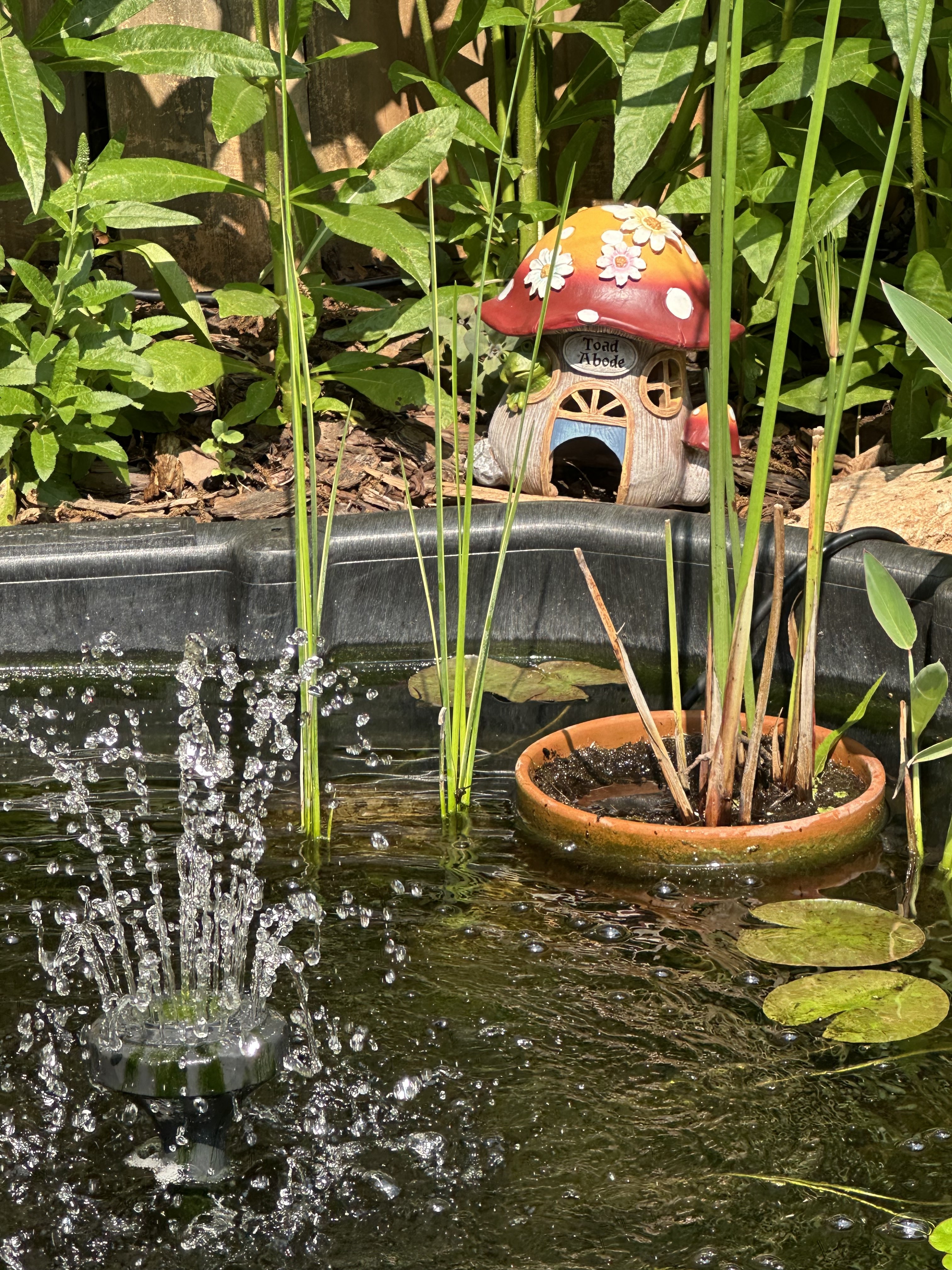 Garden pond with fountain and mushroom decor