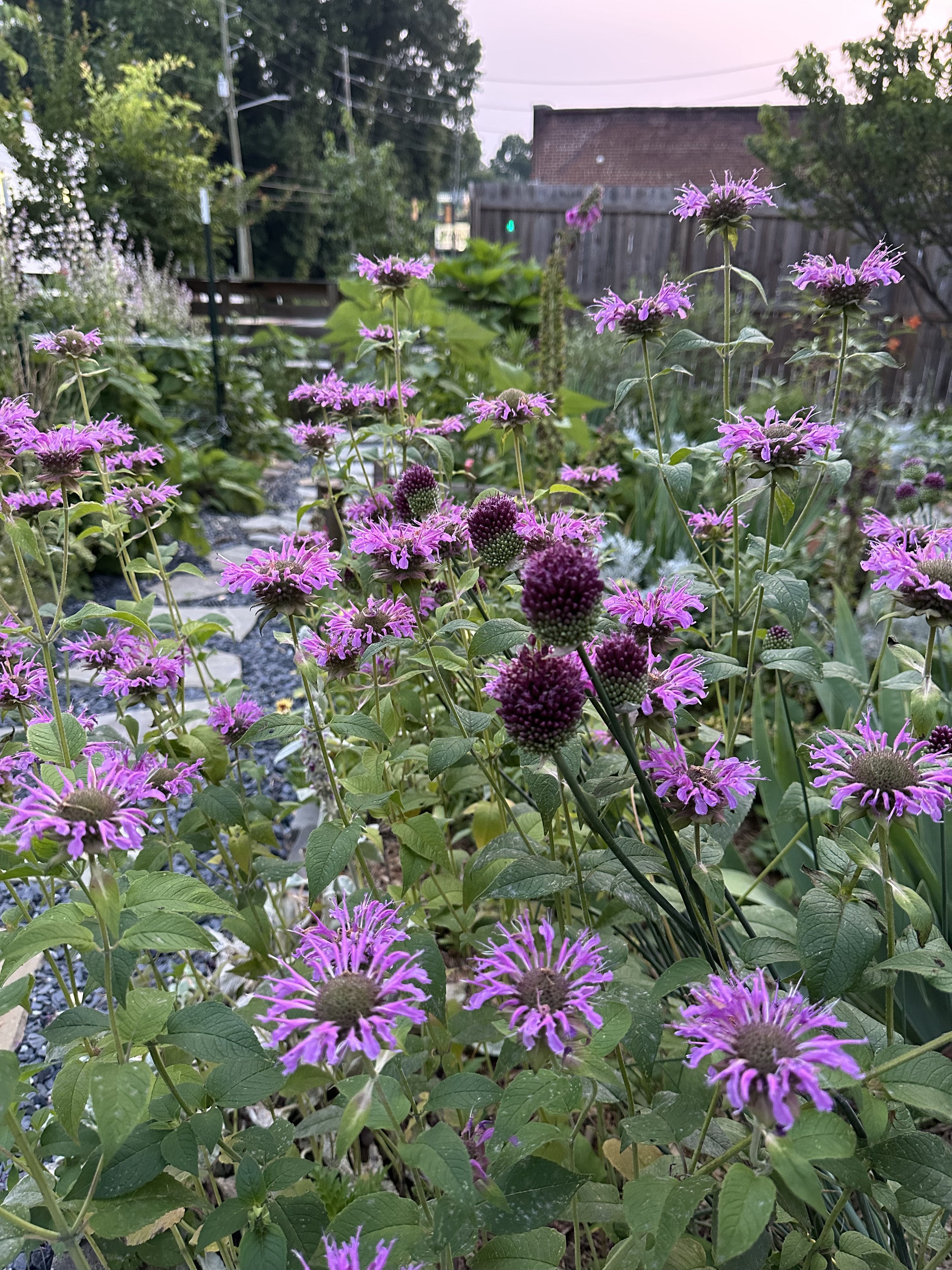 Home Garden