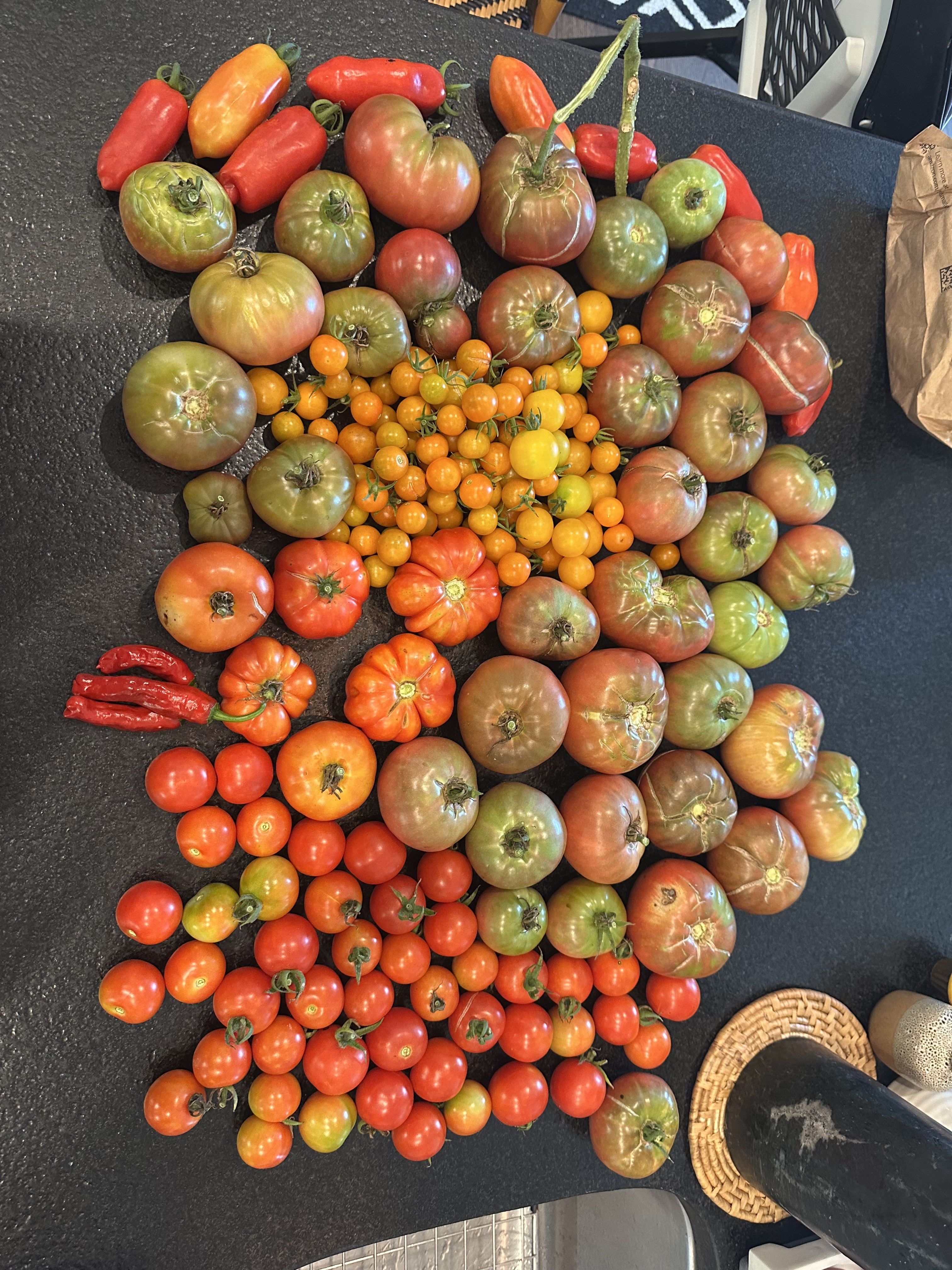 Starting Your First Vegetable Garden